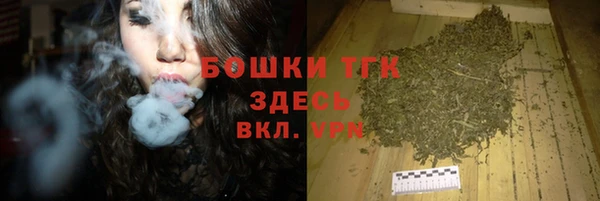 мдпв Новозыбков