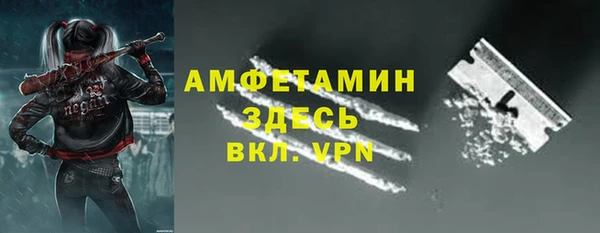 мдпв Новозыбков