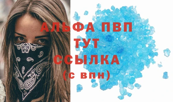 мдпв Новозыбков