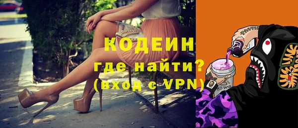 мдпв Новозыбков